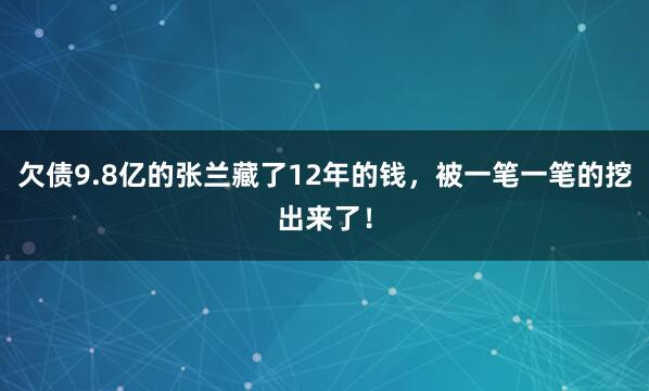 欠债9.8亿的张兰藏了12年的钱，被一笔一笔的挖出来了！